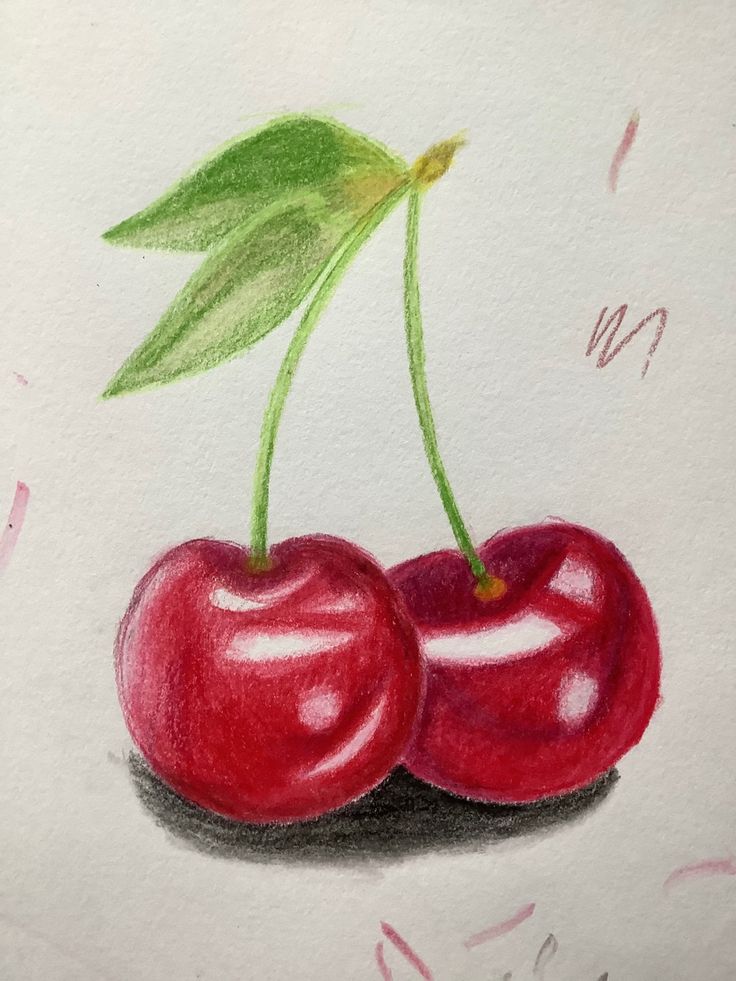 a drawing of two cherries with green leaves