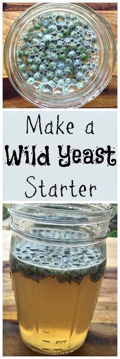 make a wild yeast starter in a mason jar with the words, make a wild yeast starter