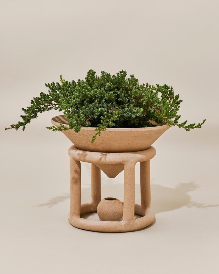 a potted plant sitting on top of a wooden stand