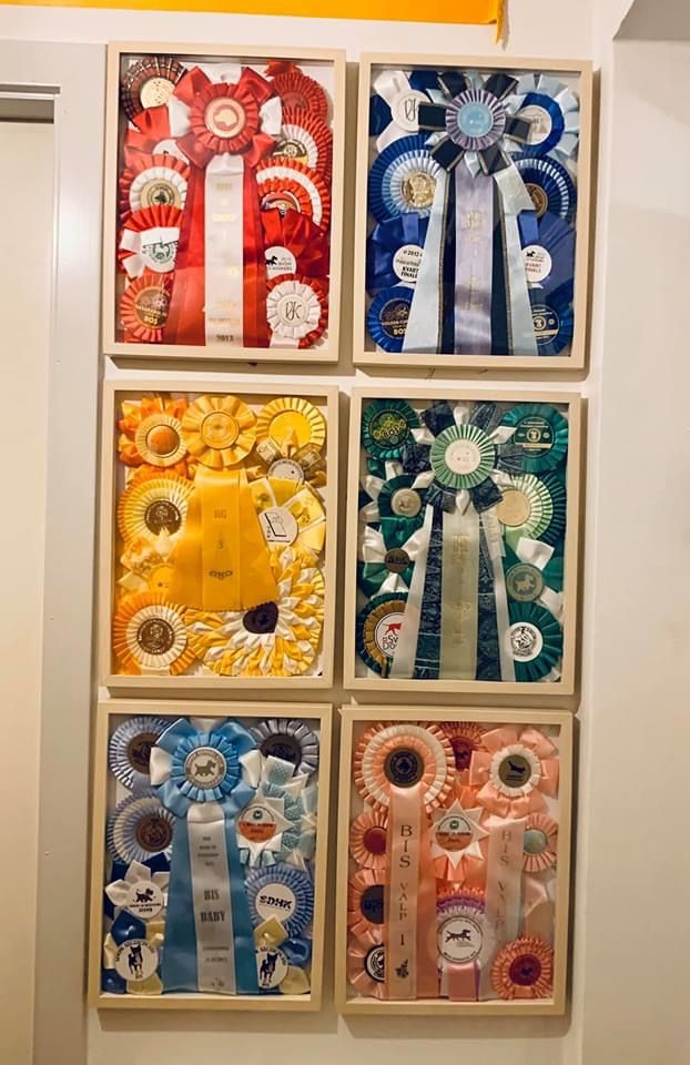 four rows of different colored ribbons hanging on the wall in front of a white door