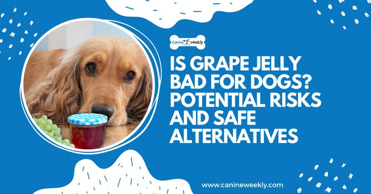 a dog with its head in a bowl and the caption is grape jelly bad for dogs? potential risks and safe alternatives