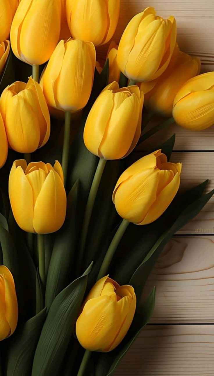 a bouquet of yellow tulips on a wooden surface