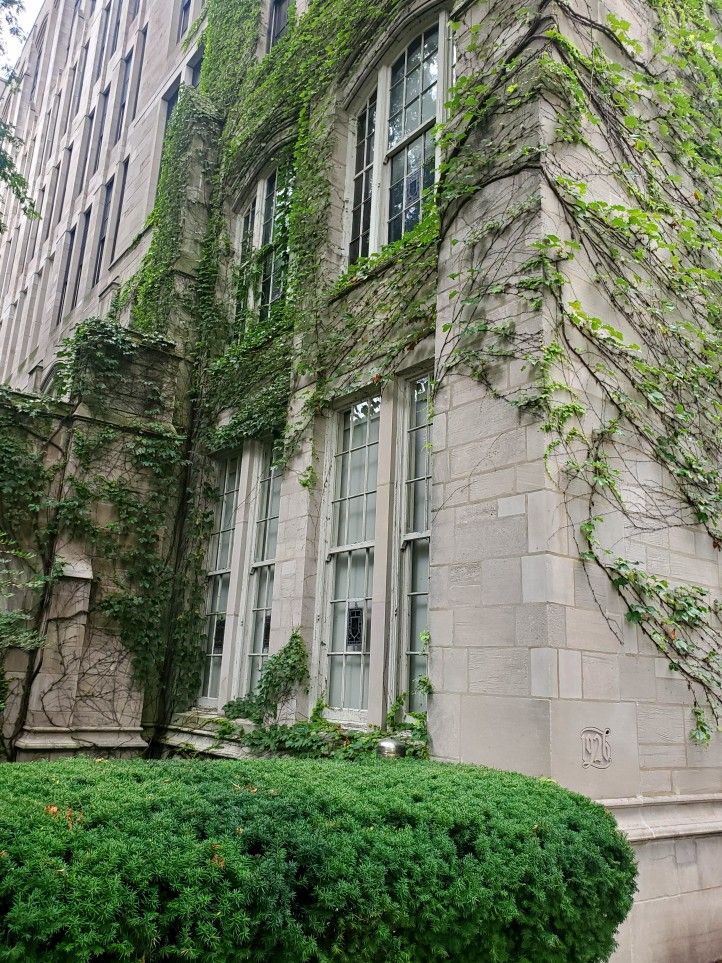 an old building with ivy growing on it's side and windows in the front