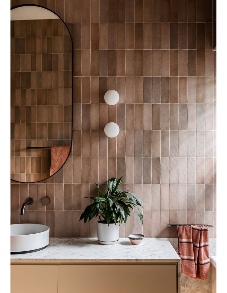 a potted plant sitting on top of a counter next to a mirror and sink