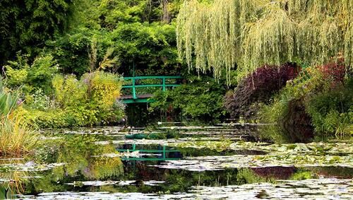 a pond with water lilies and a green bridge