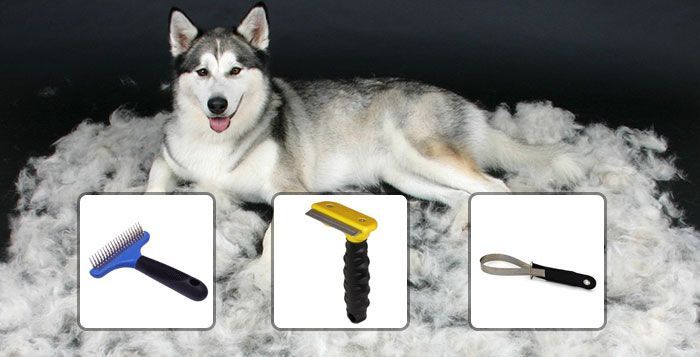 a dog laying on top of a pile of white fur next to hair brushes and combs