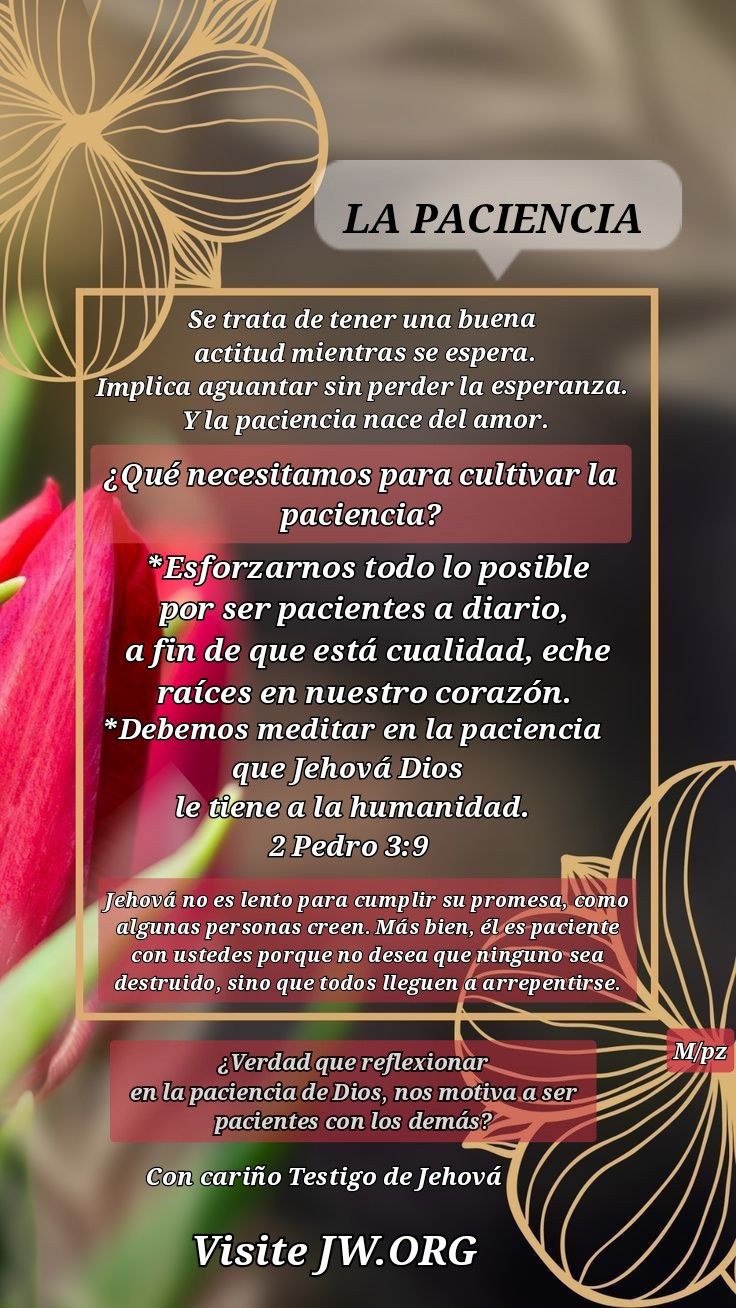 a red tulip with the words la pacincia written in spanish