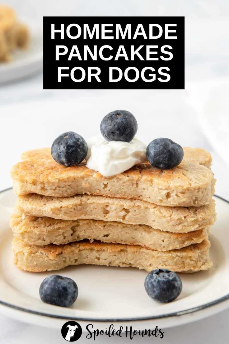 stack of pancakes with blueberries and whipped cream on top, text overlay reads homemade pancakes for dogs