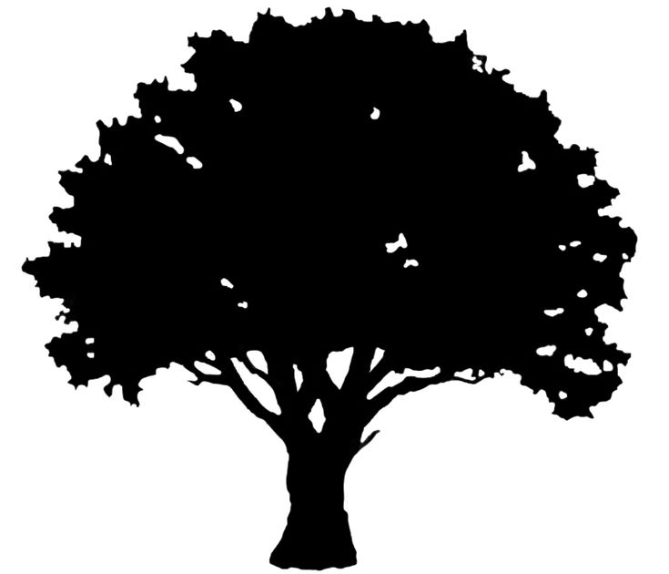 a black and white silhouette of a tree