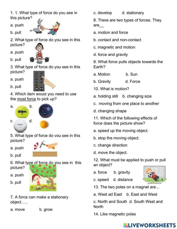 the worksheet is filled with pictures and words to help students understand what they are doing