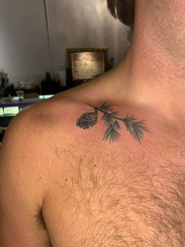 a man's chest with a pine cone tattoo on his left side and an evergreen branch in the middle