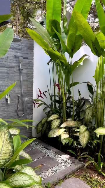 an outdoor shower surrounded by lush green plants