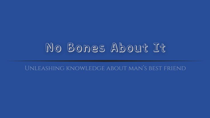 No Bones About It | Dog Breeds, Tips, Trivia, Care, Recipes, DIY