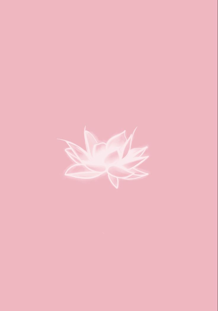 a pink background with a white flower on the top and bottom part of the image