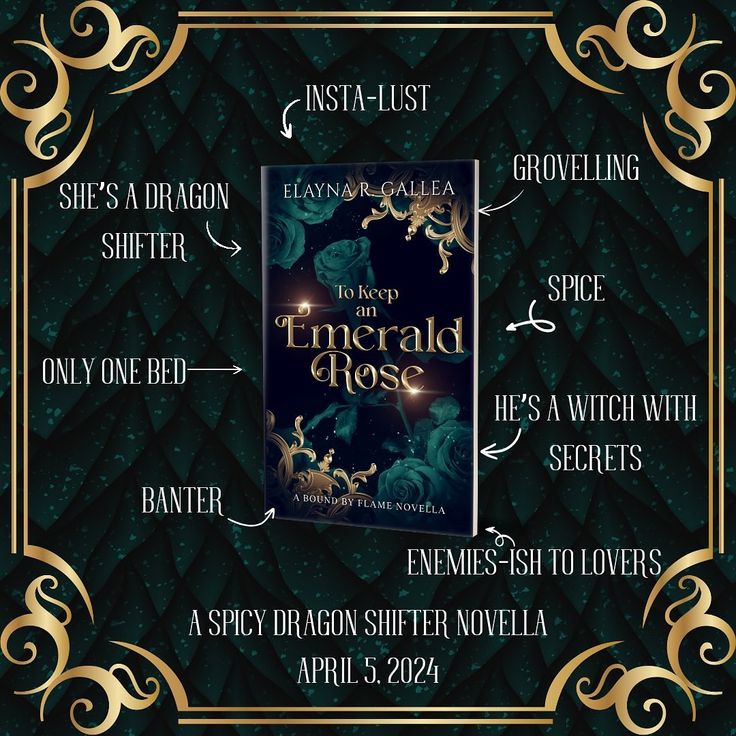 the emerald ghost book cover with an ornate frame around it