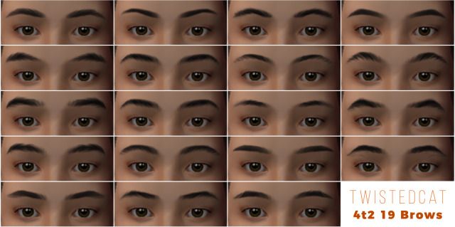 an image of many different eyes with the words twistedcat 42 19 browss