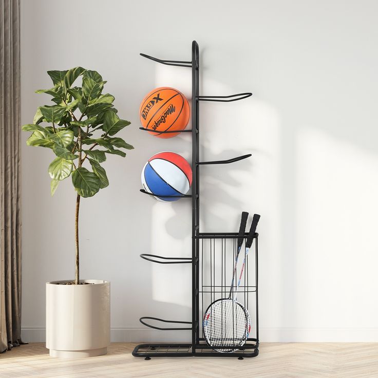 there is a rack with three balls on it next to a potted plant in the corner