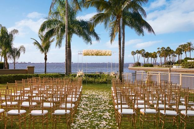 an outdoor ceremony setup with gold chairs and white flower petals on the grass near palm trees