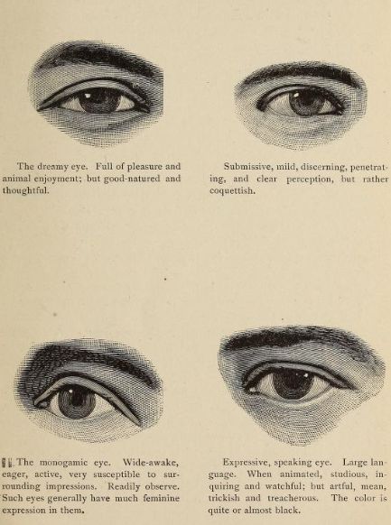 The Art of Reading Faces: Physiognomy Unveiled - Dive into the science of physiognomy to decipher personality traits through eyes, nose, lips, and ears. A fascinating journey into the subtle language of facial features awaits! Physiognomy Face Reading, Describing Facial Features, Face Reading Psychology, Eye Language, Phrenology Head, Reading Body Language, Nose Picking, Beauty Science, Face Pores