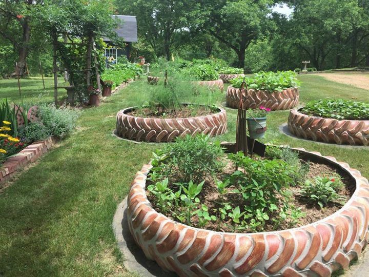 a garden filled with lots of different types of plants