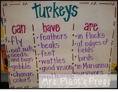 a white board with writing on it that says turkeys can have fly, feathers, and flakes