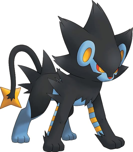 an image of a black cat with blue eyes and yellow stars on it's tail