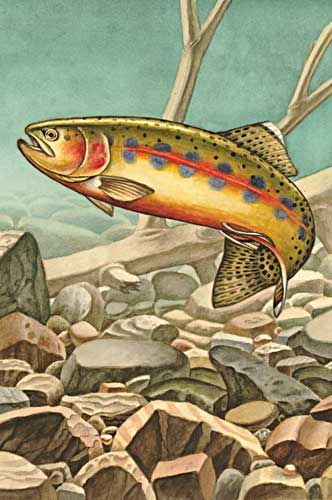 a painting of a fish jumping over rocks