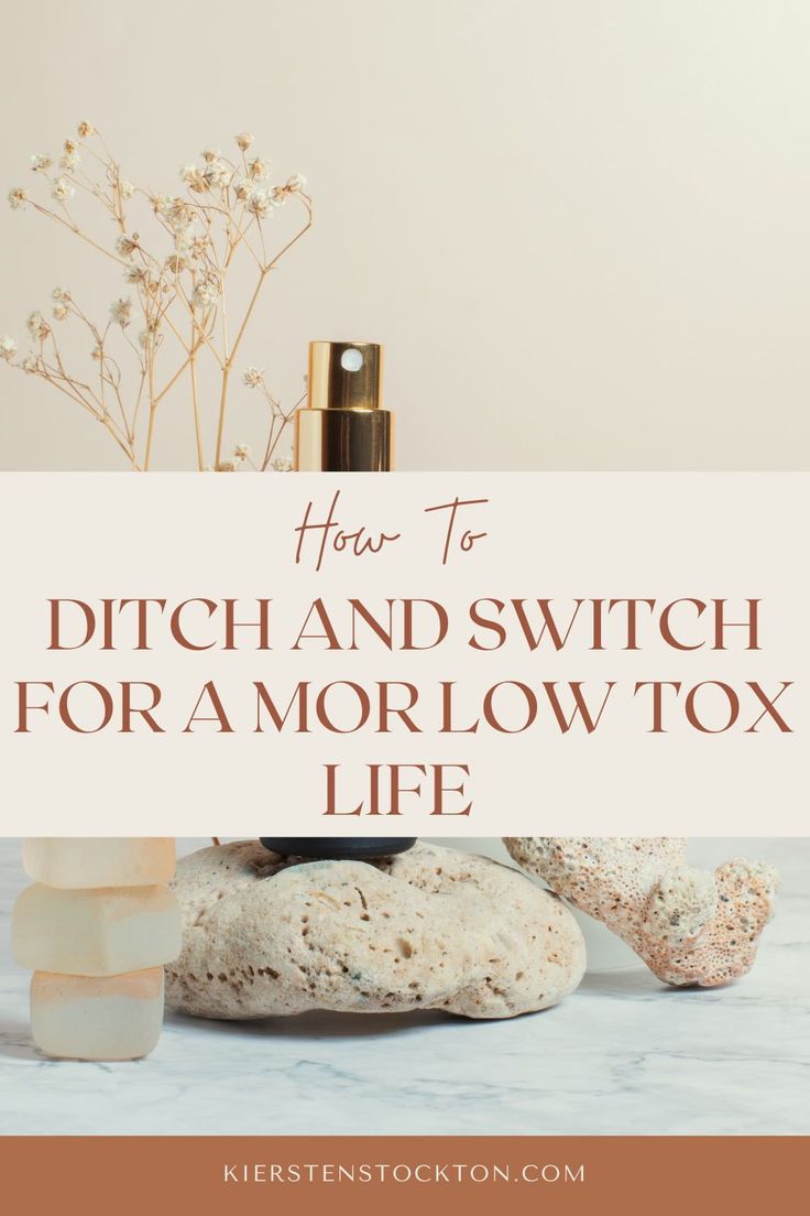 the words how to ditch and switch for a morlow toy life on top of rocks