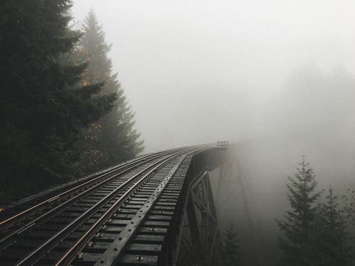 a train traveling over a bridge surrounded by trees in the foggy day with no one on it