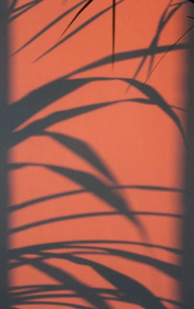 the shadow of a plant is cast on an orange wall with long, thin leaves