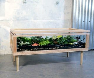 a fish tank is sitting on a wooden bench in front of a wall with an aquarium