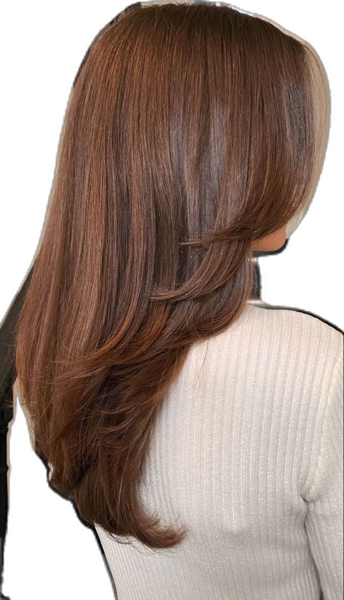 Cinnamon Hair, Rambut Brunette, Chestnut Hair, Chestnut Hair Color, Brown Hair Looks, Hair Inspiration Long, Brown Hair Inspo, Ginger Hair Color, Hairstyles For Layered Hair