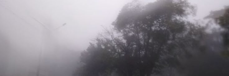 the street is covered in fog and trees