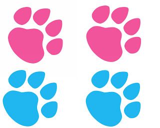 three pink and blue paw prints on a white background, each with an animal's foot