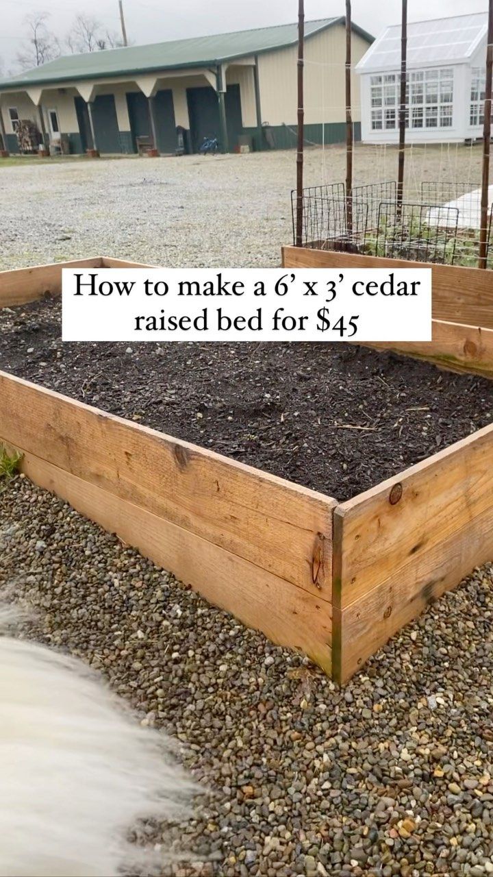 a wooden box filled with lots of dirt next to a yard and building in the background