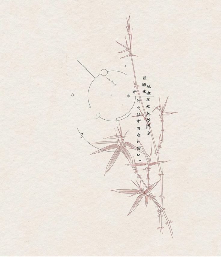 an ink drawing of a plant with chinese writing on the top and bottom half of it