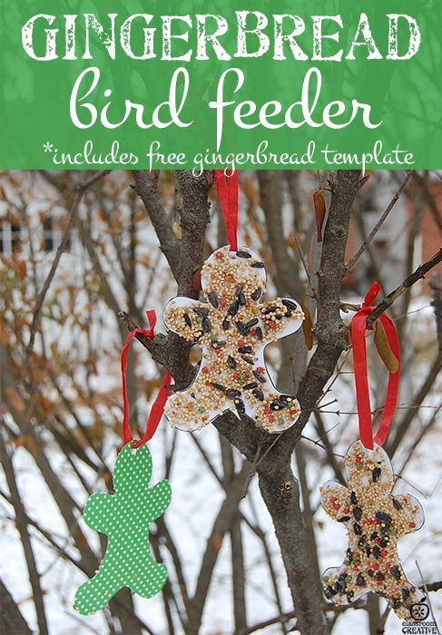 an image of a bird feeder hanging from a tree