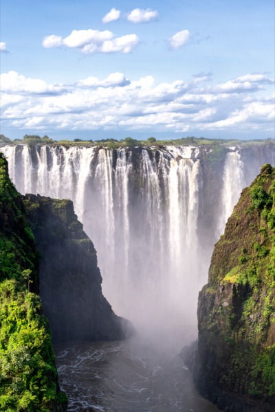 iguana falls in the background with trees and water