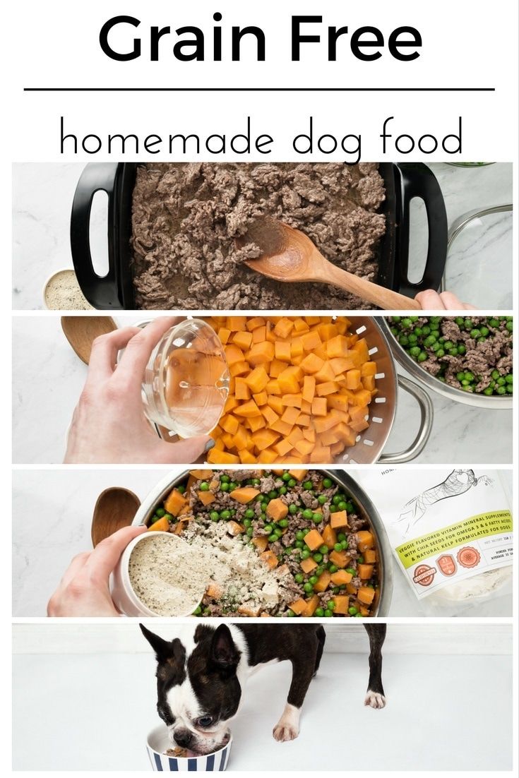 three pictures showing how to make the best grain free dog food