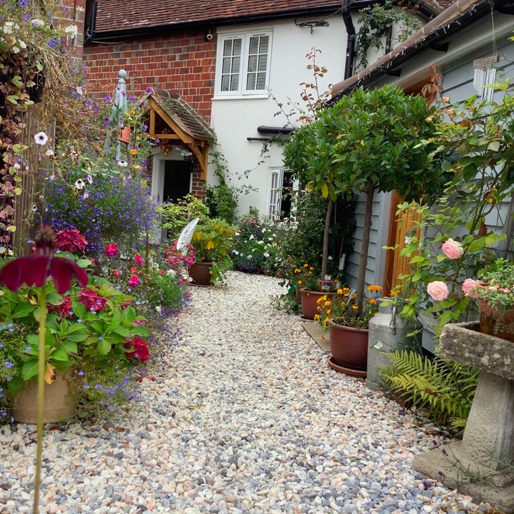 a gravel path with potted plants and flowers