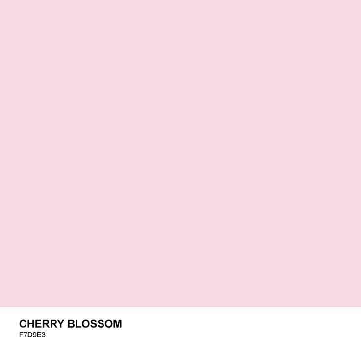 a pink background with the words cherry blossom on it