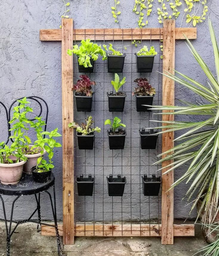 an outdoor garden area with potted plants and a trellis on the side wall