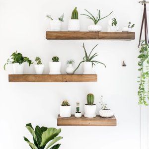 three wooden shelves filled with plants and potted plants on top of each shelf in front of a white wall