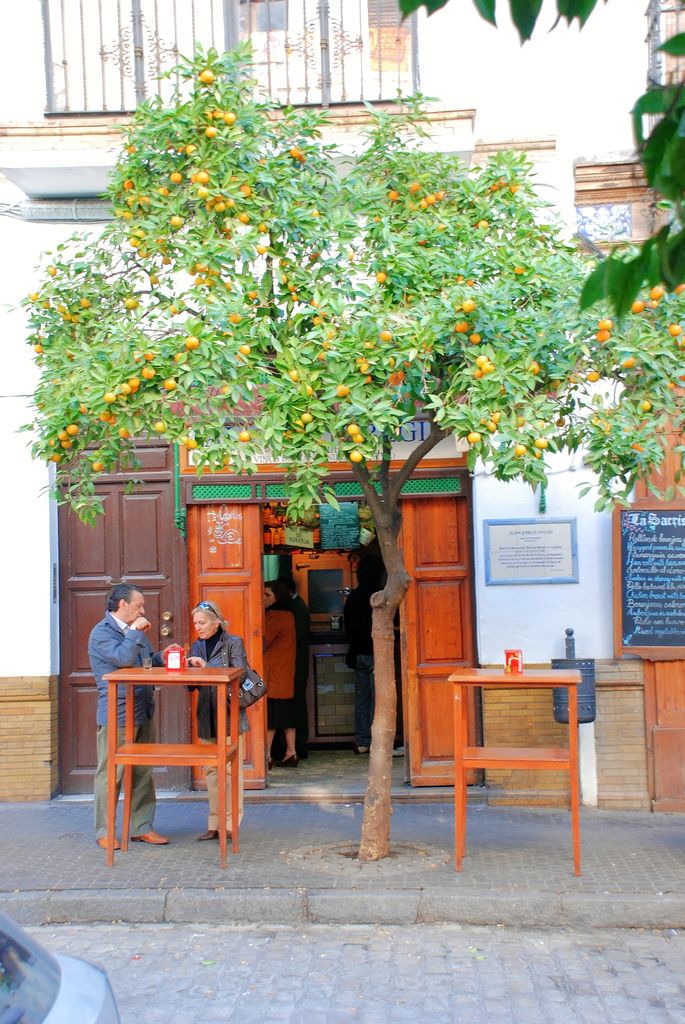 two people sitting at wooden tables under an orange tree in front of a storefront