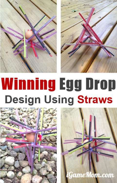 an egg sitting on top of sticks in front of rocks and grass with the words winning egg drop design using straws