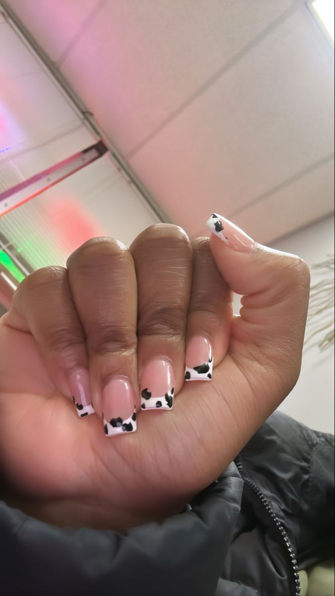 Cow French Tip Nails Pink, Paw Print French Tips, Cute Nails For Birthday French Tip, Cow Square Nails, Short Cow Nails Acrylic, Fun Frenchies Nails, Squat Nail Designs, French Tip Nails Cow Print, Cow French Tip Nails Short