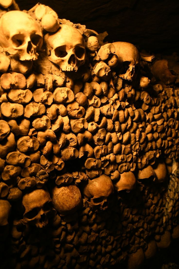 Skulls and bones stacked in a wall Paris Catacombs Aesthetic, Haunted Speakeasy, Catacombs Aesthetic, French Catacombs, Catacombs Of Paris, Paris Catacombs, Bushcraft Essentials, Paris Ideas, Bushcraft Shelter