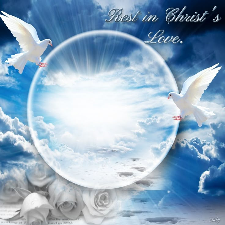 two white doves are flying in the sky