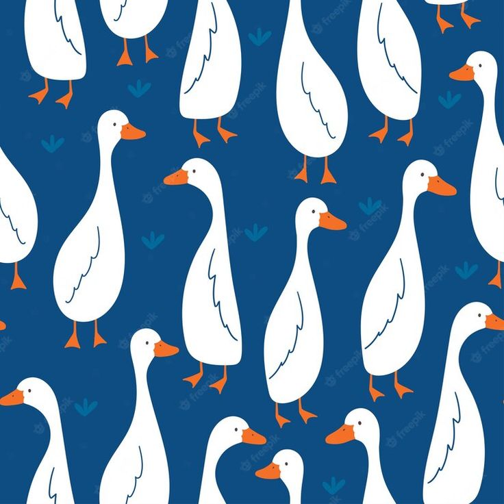 a group of white ducks standing next to each other on a blue background with orange beaks