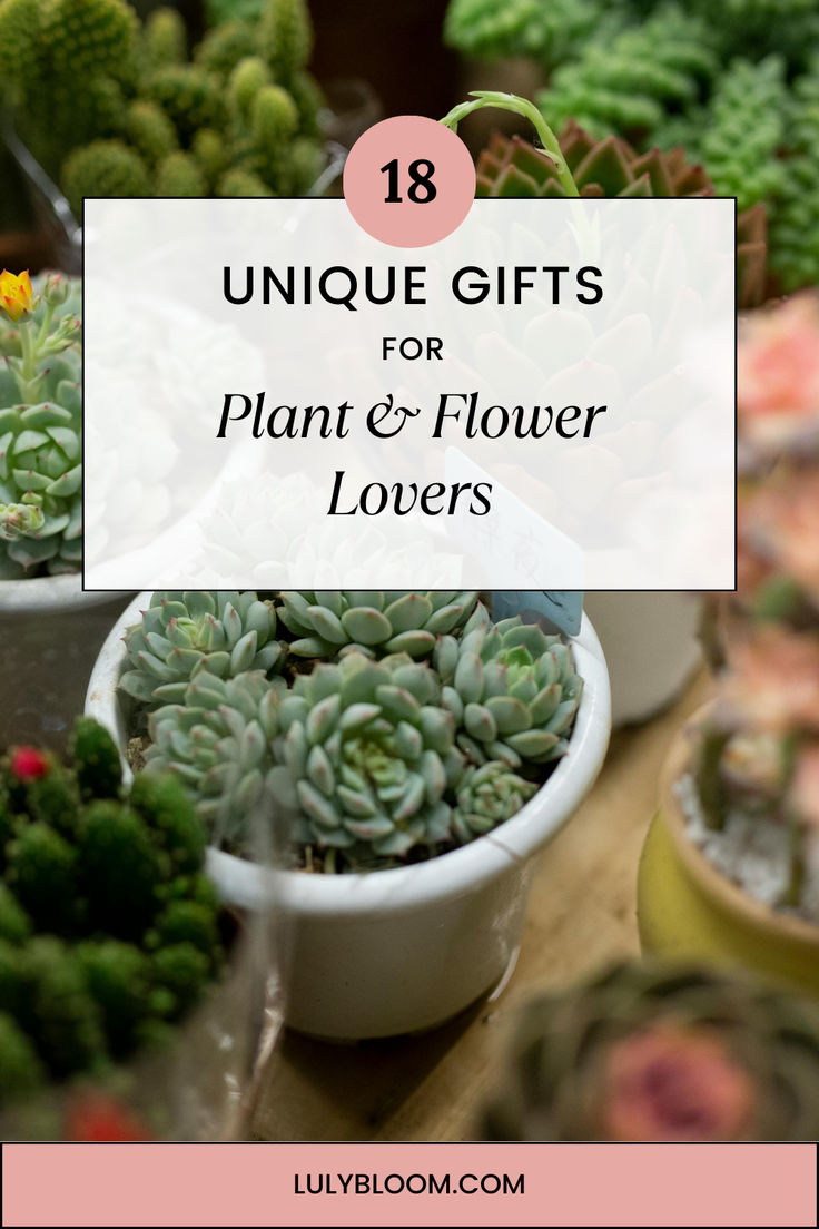 Mini Cacti background with text overlay stating, "18 Unique Gifts for Plant & Flower Lovers." lulybloom.com Gifts For Flower Lovers, Plants As Christmas Gifts, Plants To Gift Someone, Gift Ideas For Plant Lovers, Gifts For Plant Lovers, Plant Gift, Gift For Grandma, Birthday Gifts For Plant Lovers, Cool Gifts For Plant Lovers